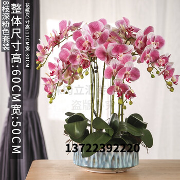 盆栽仿真蝴蝶兰花套装摆件假花艺前台客厅餐桌面盆栽盆景装饰摆设 8枝