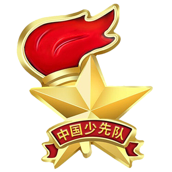 斯图少先队队徽章强磁吸铁石磁扣别针立体队徽火炬队徽立体磁扣款10个