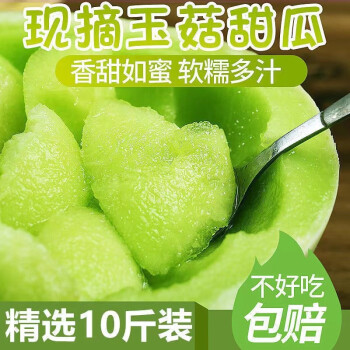 源枝园味（YUANZHIYUANWEI）上海冰淇淋南汇玉菇甜瓜原箱10斤装当季水果整箱绿肉香瓜新鲜