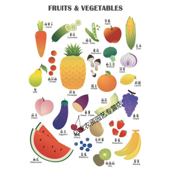 創意早教兒童掛圖認知海報韓風設計無聲寶寶學習導圖 10水果認知