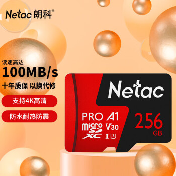 ʿƣNetacP500PRO  TFMicroSDڴ濨г¼Ǽͷֻ 256G