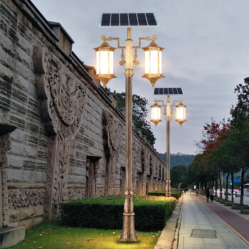 蒂伦克诗dilunkeshi双头新中式庭院灯led路灯高杆灯室外户外防水3米