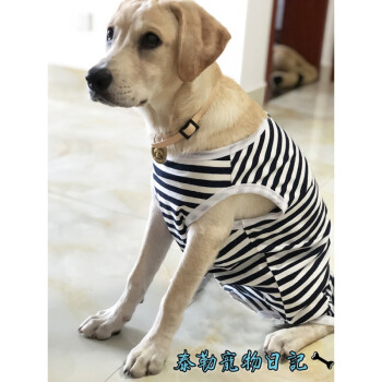 大型犬包肚衣服金毛拉布拉多母狗断奶服护肚子衣服绝育服护肚防舔蓝白条纹 纯棉莱卡 5xl 80斤以上 图片价格品牌报价 京东