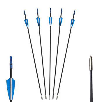 pauline pesery户外全新鹰眼三代反曲弓箭竞技复合直拉弓箭户外野外军