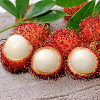 俏农优选  海南红毛丹2斤装 新鲜热带水果毛荔枝毛丹果 京东生鲜