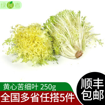 新鮮黃心苦菊苦葉生菜苦苣九芽狗牙生菜苦細葉沙拉蔬菜食材250g