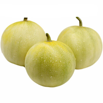 马连庄新鲜香甜美味甜瓜新鲜蜜罐小蜜蜂甜瓜水果当季白糖罐非哈密圣诞