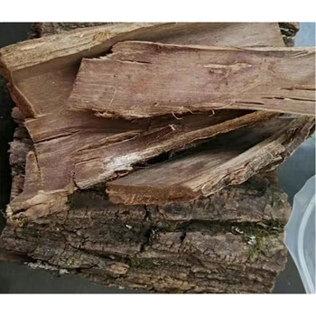 官方旗舰长白山核桃树皮东北核桃树皮核桃楸皮胡桃楸树皮500g
