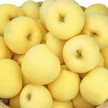 黄金帅苹果黄元帅苹果烟台苹果水果新鲜面香蕉黄当季金帅5斤
