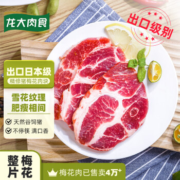 龙大肉食 烧烤猪梅花肉块500g 出口日本级 猪梅肉猪梅条生鲜 烤肠食材
