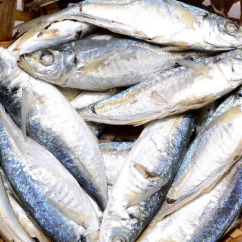 潮汕魚飯 潮汕特產 新鮮花仙魚飯 多規格 熟魚即食 海鮮海魚花仙魚