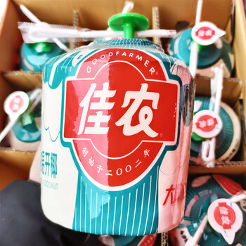 竹域椰青 新鲜椰子 佳农易开口椰青 当季水果椰子 【易开带吸管】2颗