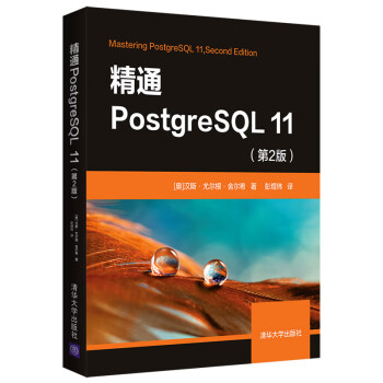 精通PostgreSQL 11（第2版）