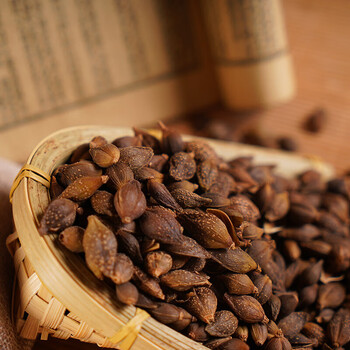 【药房直售】连翘 青翘黄翘老翘落翘茶袋装道地中药材无硫熏中药饮片