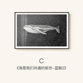 stingchenx仟象映画现代海洋生物黑白装饰画沙发背景墙双联鲸c款蓝鲸