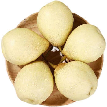 河北正宗鸭梨水晶梨多汁脆甜当季时令水果新鲜梨子 精选泡沫装 9斤