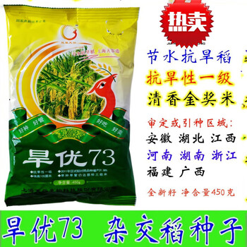 旱优73旱稻种子杂交抗旱性一级金奖米清香 旱优73种子1袋计450克