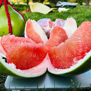 三十九度献鲜 泰国青皮红心柚子4个大果 红肉青柚当季孕妇水果金柚