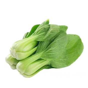 2020年农家自种新鲜上海青油菜,小白菜青菜自产自销精品 试吃1斤装