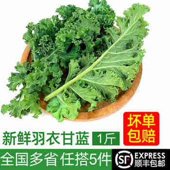 绿食者 羽衣甘蓝 绿叶甘兰嫩叶芥蓝菜kale西餐沙拉健康轻食新鲜蔬菜 500g