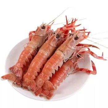 臻藓钰海鳌虾新鲜特大号海龙虾鲜活刺身虾生吃甜虾日料刺身海鲜生吃2
