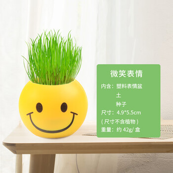 植物小盆栽室内负离子带种子桌面学生开学奖品礼物小礼品微笑表情含盆