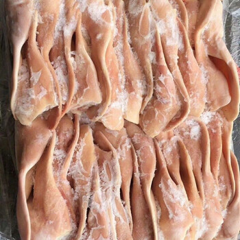 新鲜冷冻猪耳朵猪耳片生猪耳大根耳朵20斤干净无毛卤菜食材