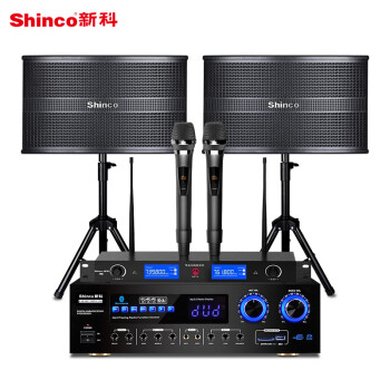 新科 (Shinco) LED-607 家庭影院KTV音响组合套装 家用电视会议舞台大功率音箱功放系统（10英寸）