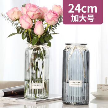 魅扣透明玻璃花瓶花艺摆件水培植物插花瓶装饰透明24阔口透明 图片价格品牌报价 京东