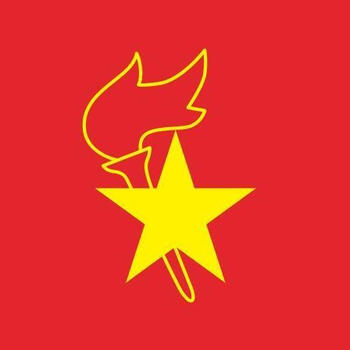 山柏小学生标准中国少年队队旗少先队 大队旗120*90cm 2号(240*160)