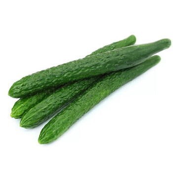 农家现摘新鲜带刺黄瓜3斤5斤自种蔬菜大青瓜生吃清脆可口3斤