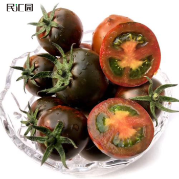 民汇园 蔬菜种子圣女果种子黑绿黄红色西红柿种子菜种子彩色小番茄籽 黑樱桃番茄约200粒