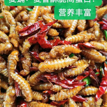 油炸酥脆冷冻发货麦香酥脆高蛋白黄粉虫大麦虫蛹新鲜速冻3斤冷链发货