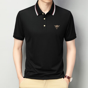 ľɣ˿Tʿļ¿˿polo BP012159ɫ 2XL