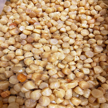 力贡悠头元贝干大干贝小元贝干货瑶柱扇贝丁扇贝肉煲粥