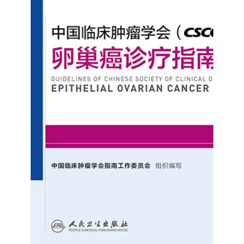 中国临床肿瘤学会（CSCO）卵巢癌诊疗指南2019pdf/doc/txt格式电子书下载