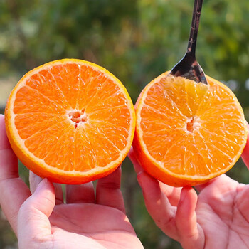 柚公主四川爱媛38号果冻橙新鲜柑橘橙子当季新鲜孕妇水果礼盒整箱3斤