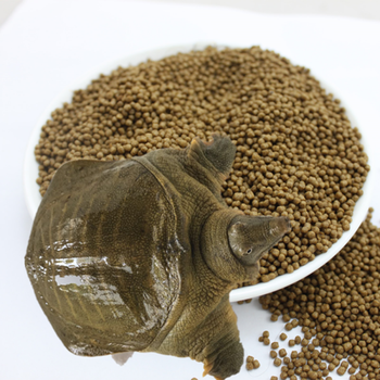 真果沁 甲鱼饲料养殖水鱼料饲料小甲鱼甲鱼饲料鳖粮小乌龟吃的食物 高