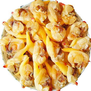 蛤蜊肉干 黄蚬子干 花蛤干 海鲜干货特产花甲肉干 1.5kg