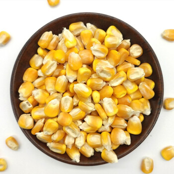 碎玉米粒喂鸡鸭猪鱼饵饲料包谷钓鱼100斤50斤鸽粮10斤干玉米 10斤玉米