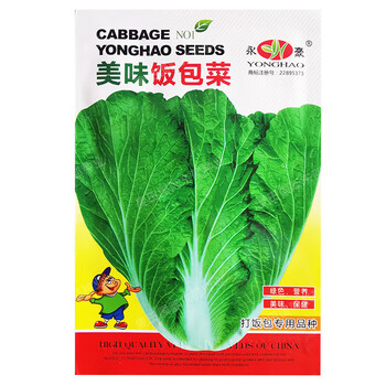 醉春木打饭包菜叶东北大白菜叶饭包叶即食蘸酱蔬菜包饭菜大叶美味饭包