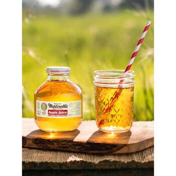 不加一滴水美国进口马蒂天尼瓶装nfc纯苹果汁296ml孕妇儿童纯果汁296