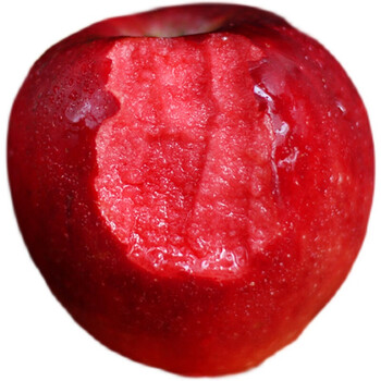 现货速发红色之爱苹果红肉苹果红色挚爱圣诞果少见不常见稀有水果新疆