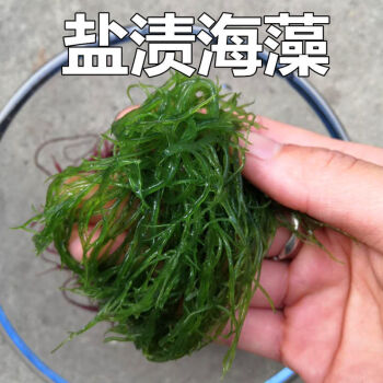 新鮮鹽漬紫藻水晶藻紫晶藻海藻菜紅藻鳳尾藻500g龍鬚菜海藻紅海草