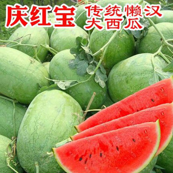 花如嫣8424麒麟无籽西瓜种子籽特大高产巨型甜王南方小四季蔬菜水果种