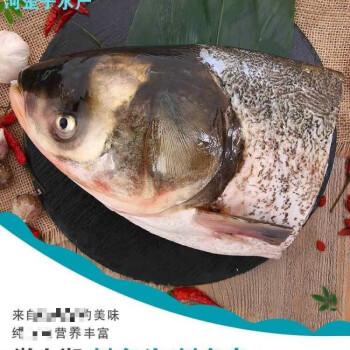 花鰱魚頭胖頭魚剁椒魚頭活魚現殺現發鰱鱅魚頭殺好洗淨