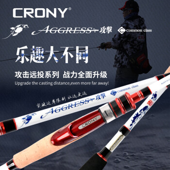 CRONY科尼2021年新品 攻J三代新款枪柄直柄远投竿翘嘴鲈鱼大物路亚竿 直柄2.46米中软 AGS3-812ML