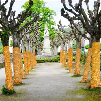 金纸包树金布装饰布皱金布树干金色包柱布树木缠绕金色舞台金箔纸k3