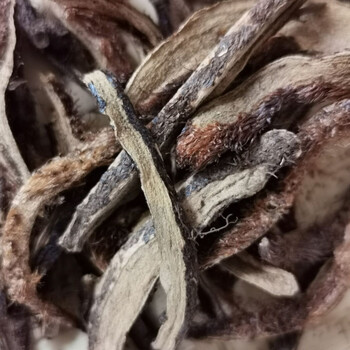 野生骨碎补散装鲜活食用爬岩姜猴姜煲汤泡酒新鲜原生中草药材 干