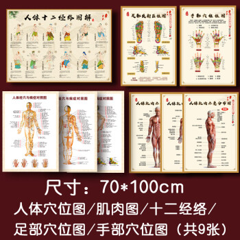 中醫人體經絡穴位圖大掛圖人體穴位圖家用全身經絡圖病症對照高清